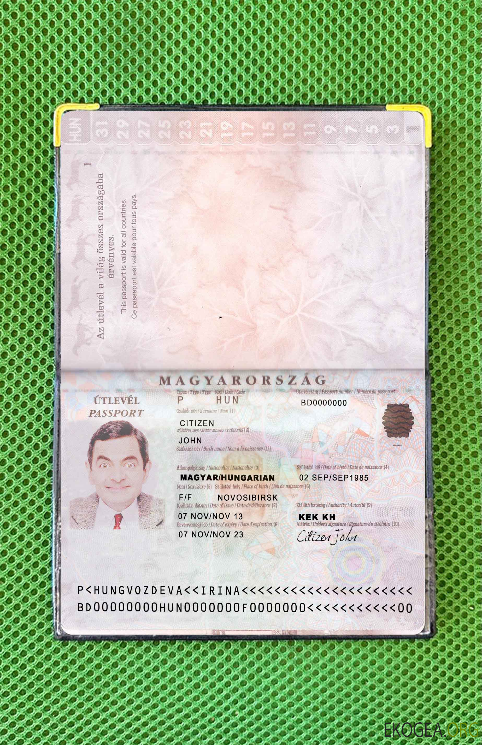 Look photo du pass hongrois version 2